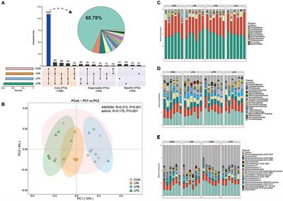 Altering Dietary Soluble Protein Levels With Decreasing Crude Protein May Be a Potential Strategy to Improve Nitrogen Efficiency in Hu Sheep Based on Rumen Microbiome and Metabolomics